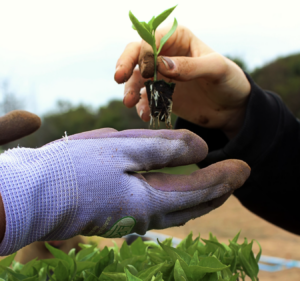 How philanthropy invests in journalism investors (Newsletter 023)